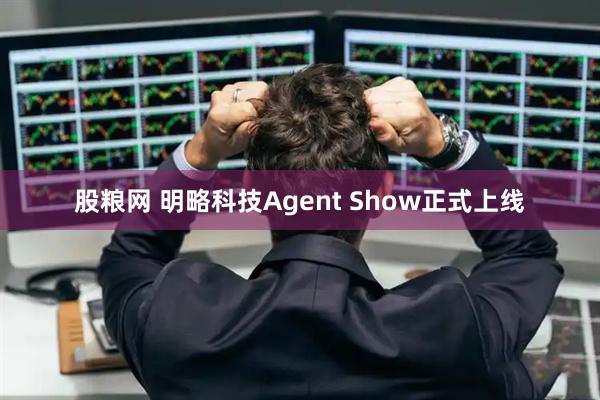 股粮网 明略科技Agent Show正式上线