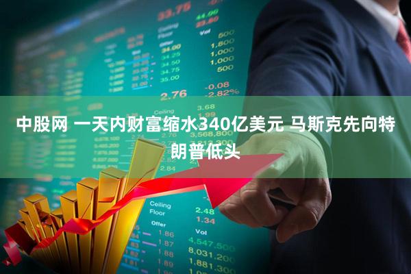 中股网 一天内财富缩水340亿美元 马斯克先向特朗普低头