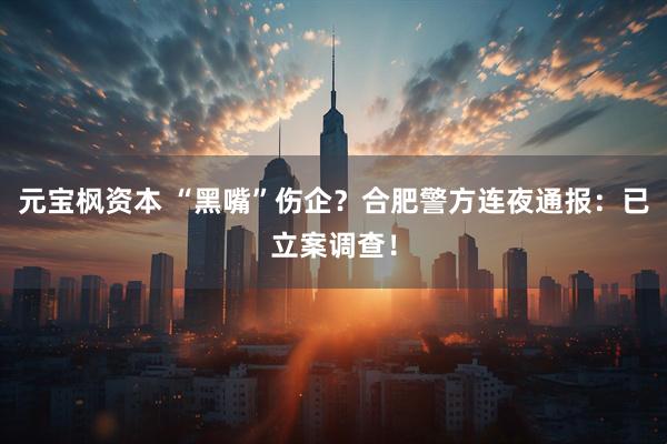 元宝枫资本 “黑嘴”伤企？合肥警方连夜通报：已立案调查！
