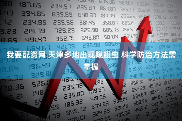 我要配资网 天津多地出现隐翅虫 科学防治方法需掌握