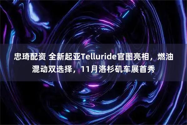 忠琦配资 全新起亚Telluride官图亮相，燃油混动双选择，11月洛杉矶车展首秀