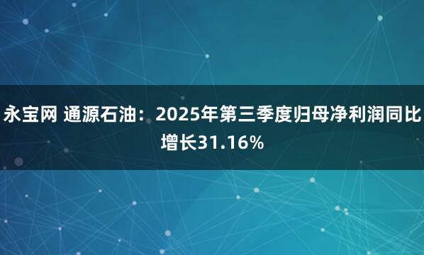 永宝网 通源石油：2025年第三季度归母净利润同比增长31.16%